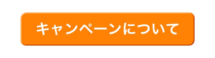 キャンペーンについて