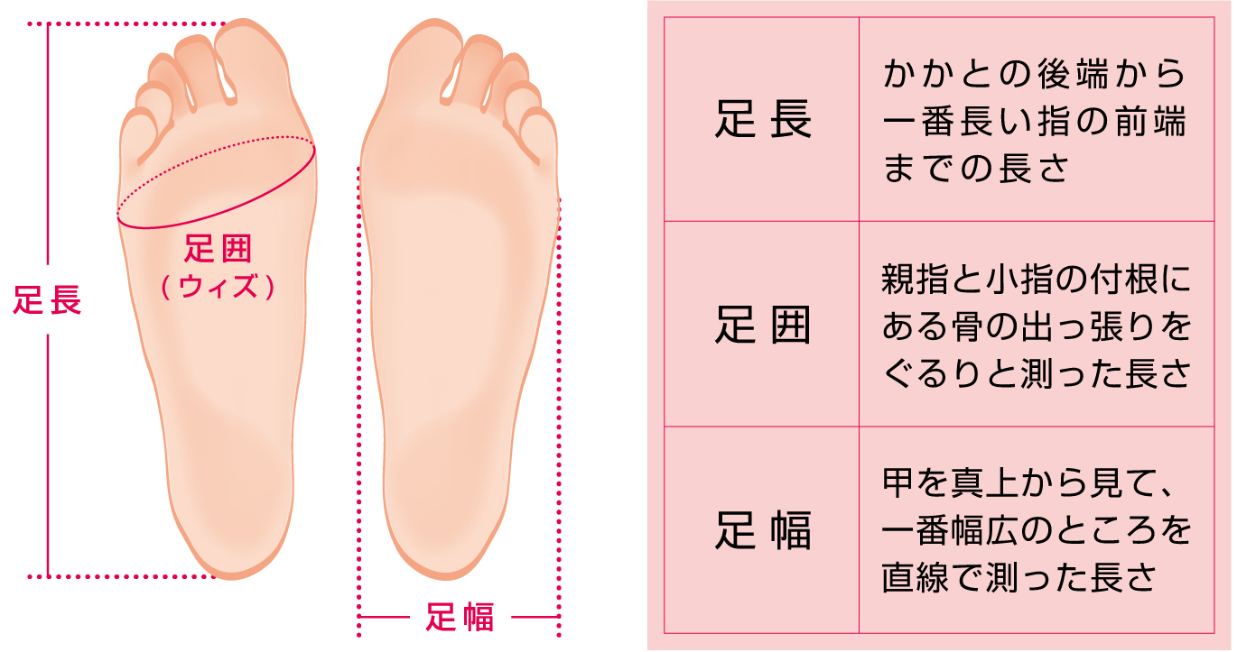 足長･足囲（ウィズ）･足幅